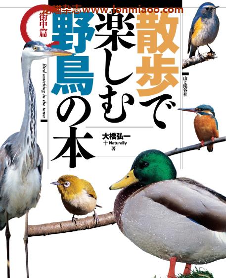 [日本版]Yama-kei 散歩で楽しむ野鳥の本 自然PDF电子书下载